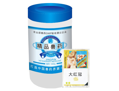 蛋雞白冠病怎么樣治療?